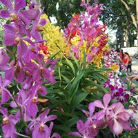Phuong Trinh Photo 46