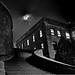 Joseph Devine Photo 30