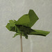Daniel Lang Photo 54