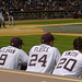 David Alleman Photo 9
