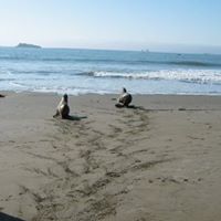 Janet Dickey Photo 15