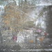 Susan Marek Photo 17