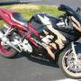 Jerry Porter Photo 40