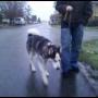 Michael Blevins Photo 24