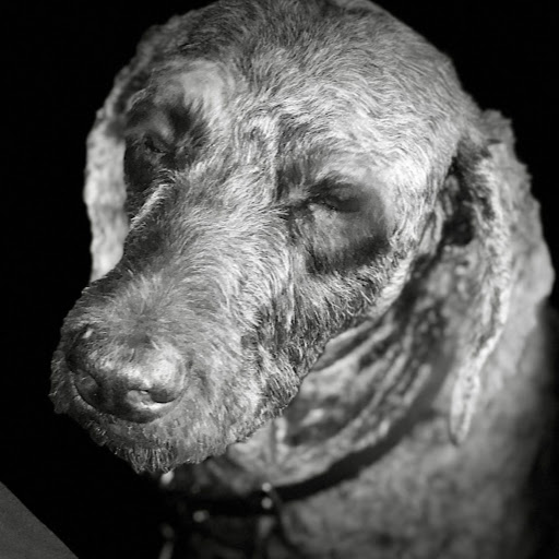 John Combs Photo 6