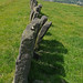 Mark Norland Photo 5