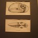 Mark Spurlock Photo 16