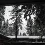 Scott Funk Photo 16
