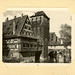 Paul Janke Photo 10