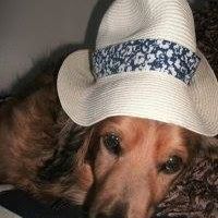 Susanne Hooper Photo 9