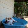 Sandra Talley Photo 34