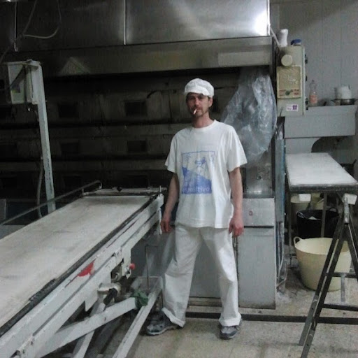 Viorel Diacu Photo 7