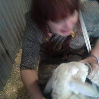 Nina Larson Photo 4
