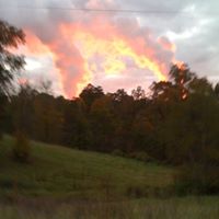 Edward Conner Photo 13