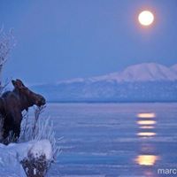Joyce Belcher Photo 12