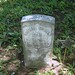 Thomas Miller Photo 33