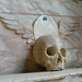 Kent Sutton Photo 26