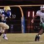 Stephen Bradley Photo 41