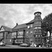Frank Hare Photo 12