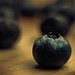 David Brisson Photo 36