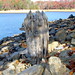 Robert Lanier Photo 37