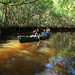 Dawn Collier Photo 28