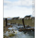 Sandy Rust Photo 18