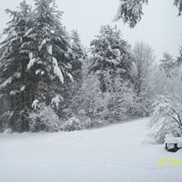 Shari Mcdonald Photo 16
