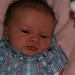 Ann Gore Photo 31