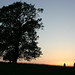 Annette Beck Photo 25