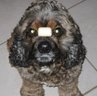 Judy Thompson Photo 8