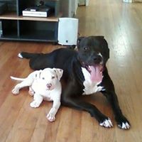 Donnie Duke Photo 4