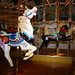 David Spillman Photo 37