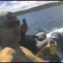 Felix Torres Photo 27