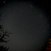 Tuttle Tuttle Photo 2