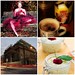 Julianne Rice Photo 10