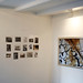 Suzanne Cooke Photo 15