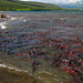 Nga Hoang Photo 21