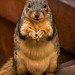 Marvin Fox Photo 11