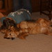 Meredith Murphy Photo 22