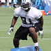 Everette Brown Photo 18