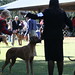 Valerie Atkinson Photo 13