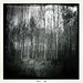 Ronald Birch Photo 25