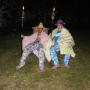 Nico Louw Photo 20