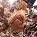 Arlene Flowers Photo 12