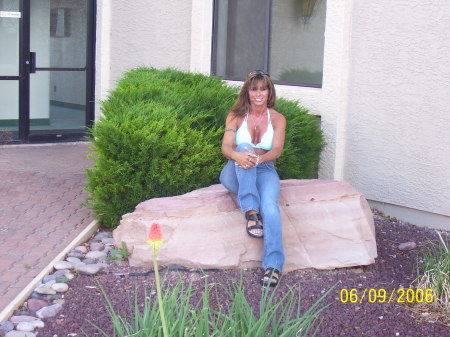 Lori Cook Photo 18