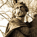 David Koning Photo 12