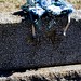 Mary Hinkle Photo 31
