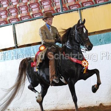 Stacey Foster Photo 27