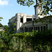Curtiss Singleton Photo 4